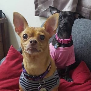 Meet your Posher, Vilma